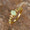 Signature GetUp October Opal Birthstone Ring – Oval White Opal Moon Retro Ring with Diamond Accents in Rose Gold, Gold, or Silver