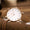 Signature GetUp Men’s Ultrathin Waterproof Watch – Minimalist Casual Quartz Wristwatch with PU Strap & Stainless Steel Back