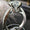 Signature GetUp Huitan Classic Wedding Engagement Ring for Women – Korean Style Four-Claw Bud Artificial Diamond Zircon Ring